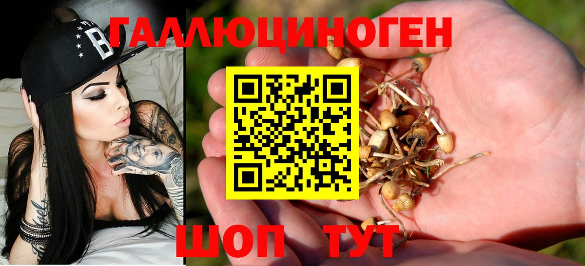 МЕФ Ухта