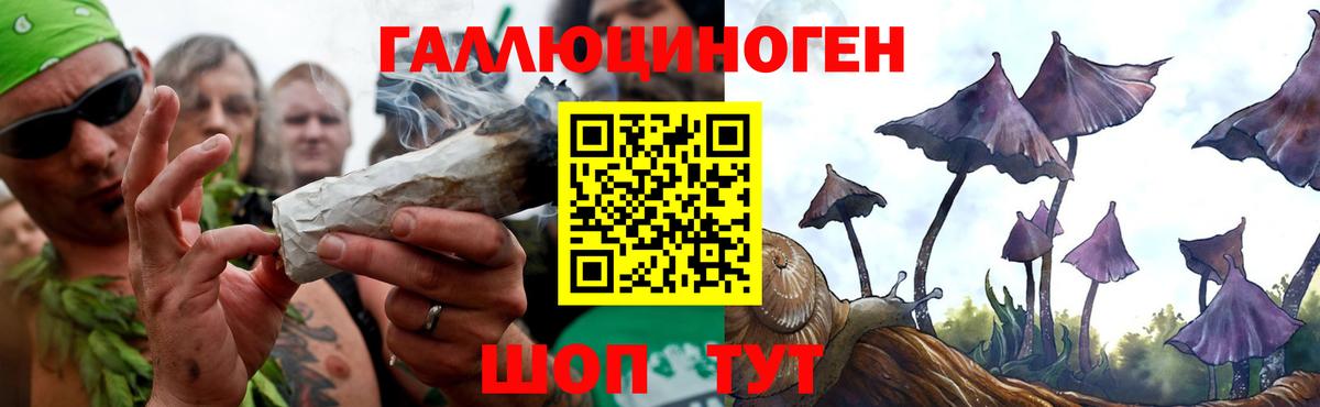 Ухта  как найти   Вход с VPN  Галлюциногенные грибы MAGIC MUSHROOMS  Галлюциногенные грибы Psilocybine cubensis 